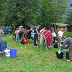 Manifestations sportives