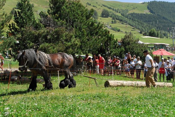 Fete des foins 07 134