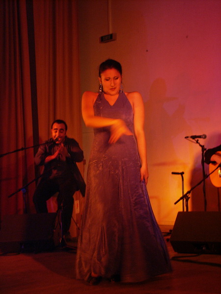 Flamenco 012