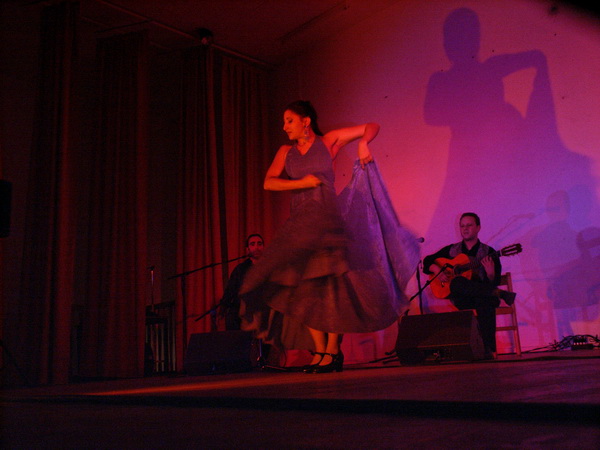 Flamenco 013
