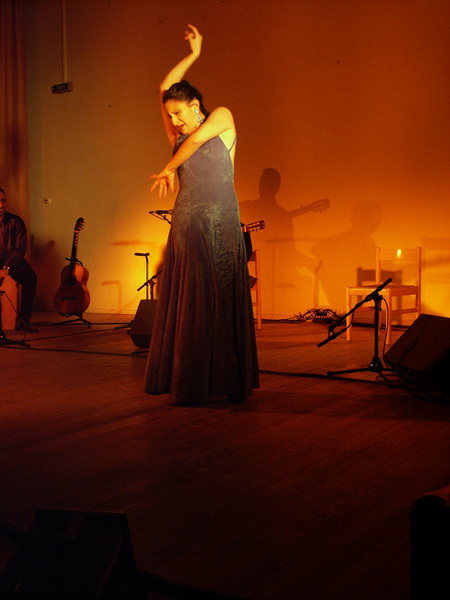 Flamenco 017