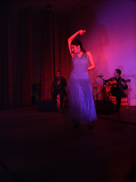 Flamenco 019